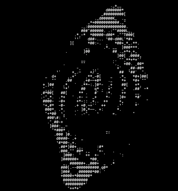 Inspection plate: an ASCII study of a spinning form, drawn in monospaced characters on black.