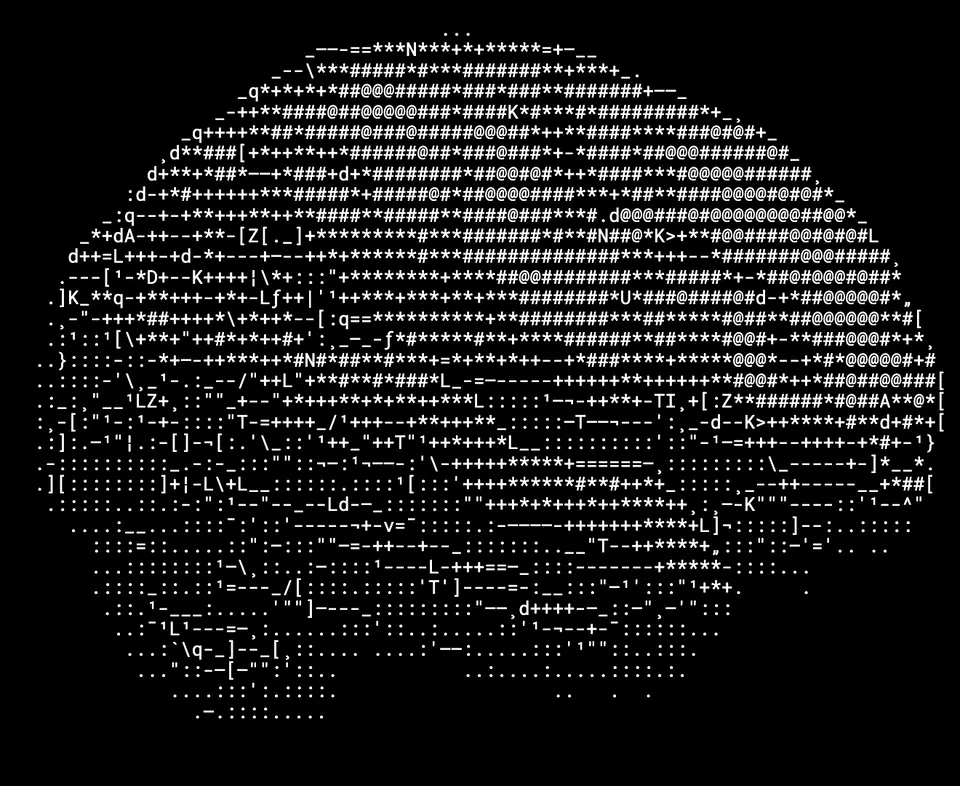 Evidence plate: an ASCII study of a rotating figure, drawn in dense monospaced characters on black.